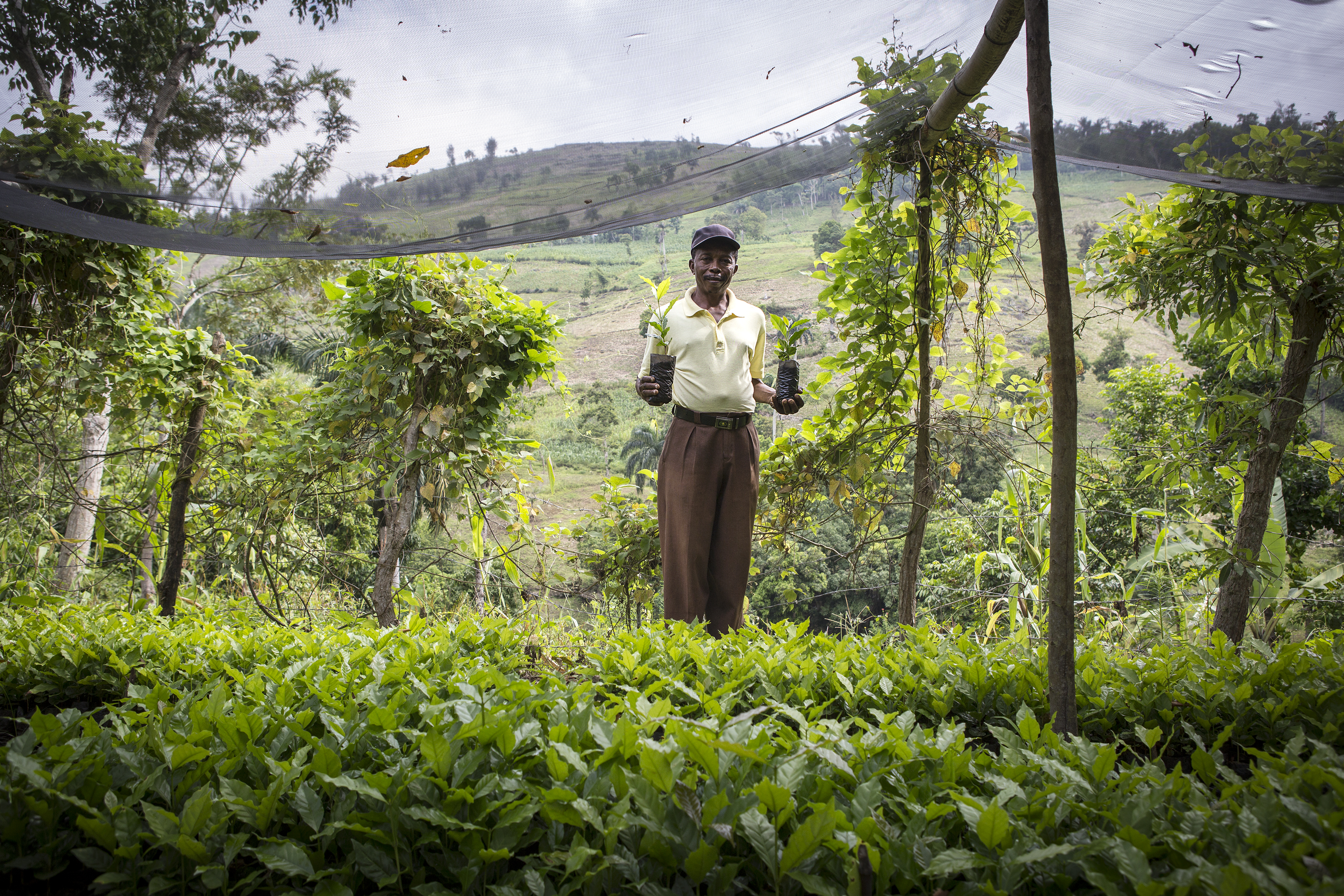 haiti secours catholique