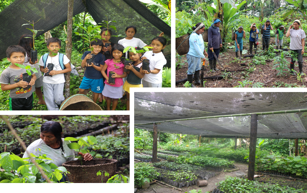 Bénéficiaires ONG Ishpingo