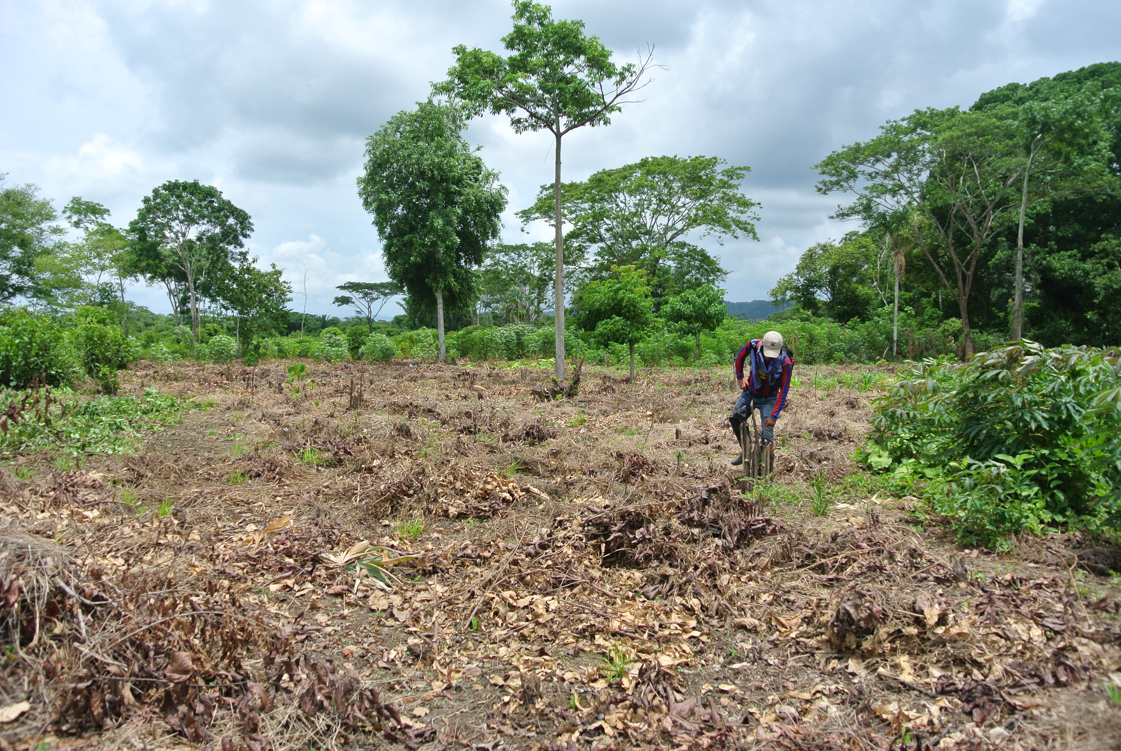 Envol Vert - parcelle agroécologique 