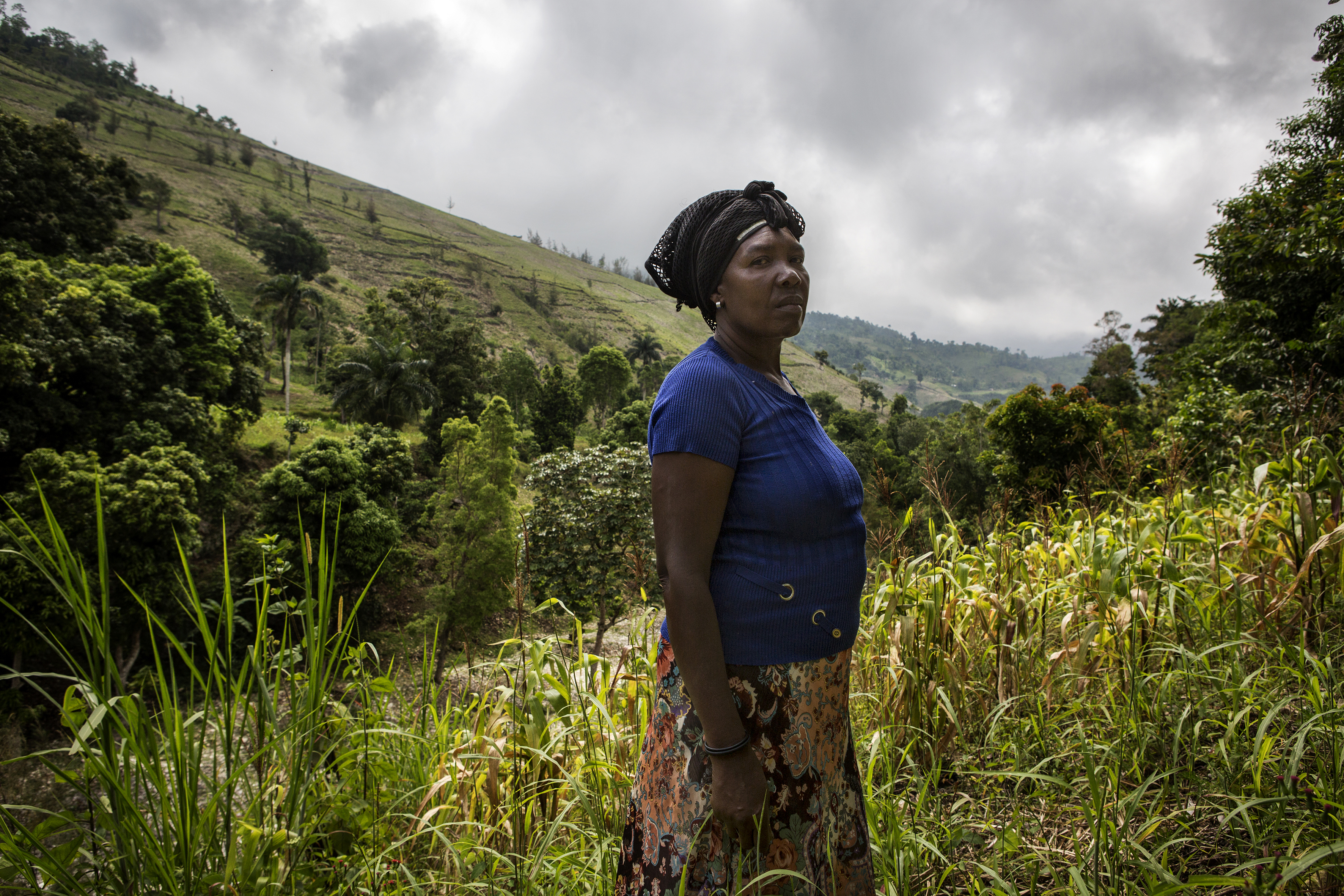 Haiti secours catholique
